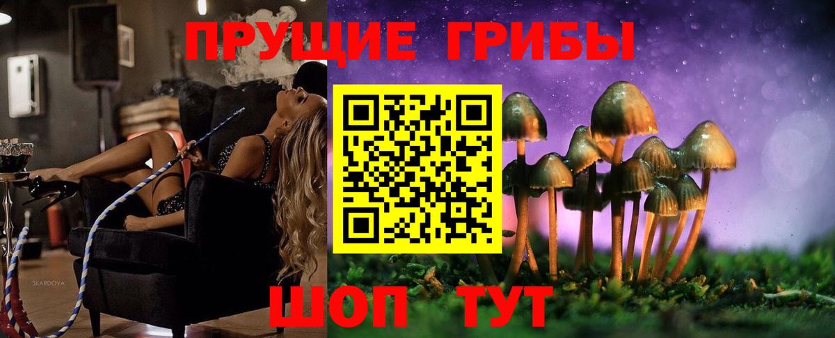 Галлюциногенные грибы GOLDEN TEACHER  Вход с VPN  Сердобск 